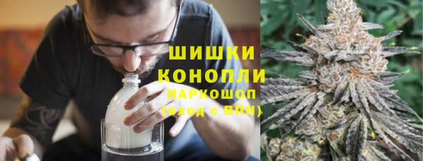 гашик Кулебаки