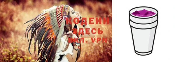 гашик Кулебаки