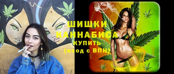 гашик Кулебаки