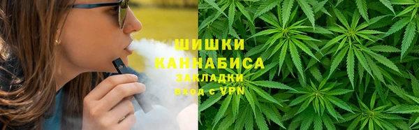 гашик Кулебаки