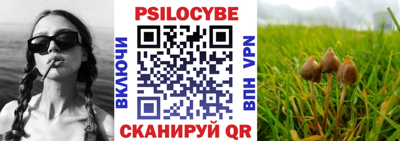 Псилоцибиновые грибы мицелий  Великий Новгород 
